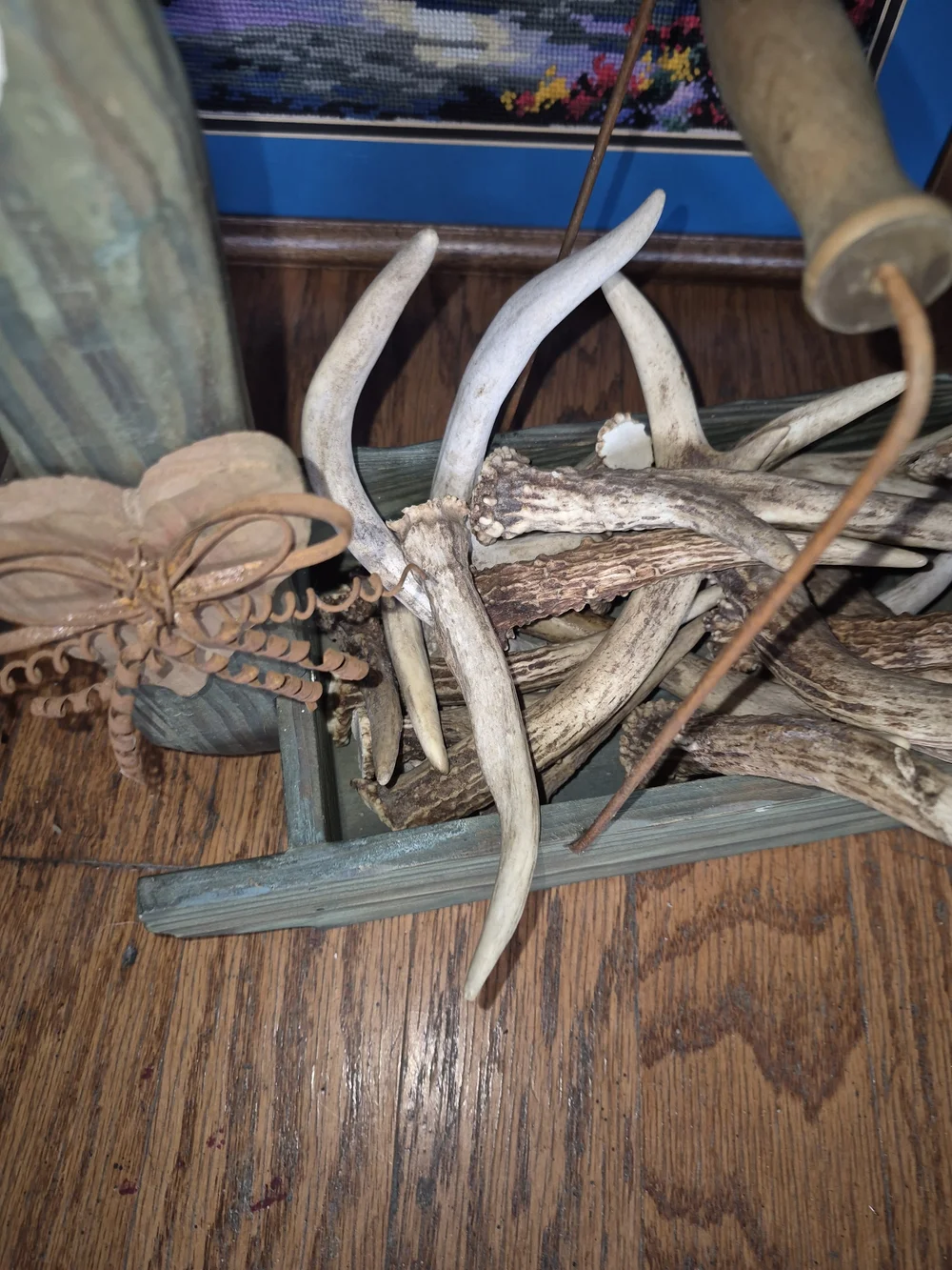 Whitetail Natural Deer Antler Chews. Lot Of 10. Various Sizes.